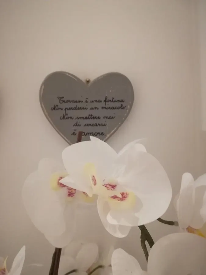 Blunotte Hotel Verona